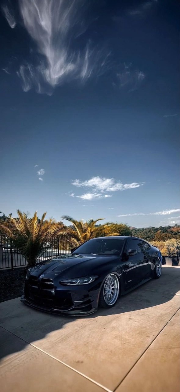 Black Palm Coupe