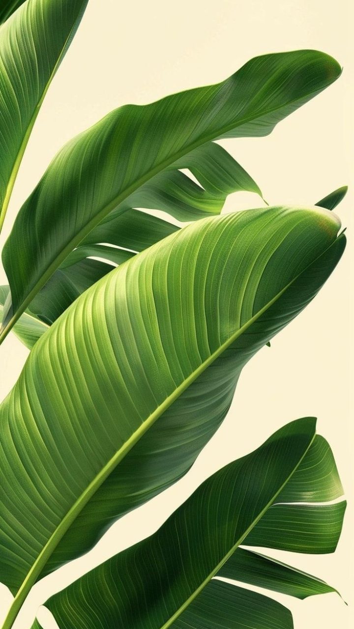 Tropical Green Leaves