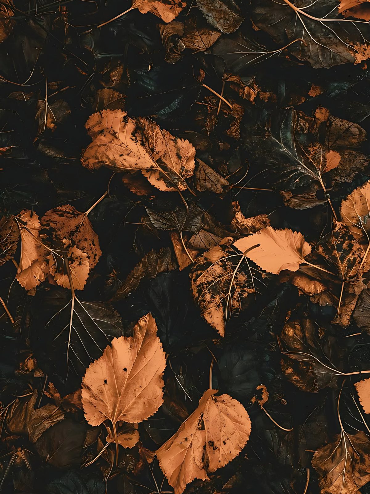Copper Autumn Leaves wallpaper for iPhone and Android