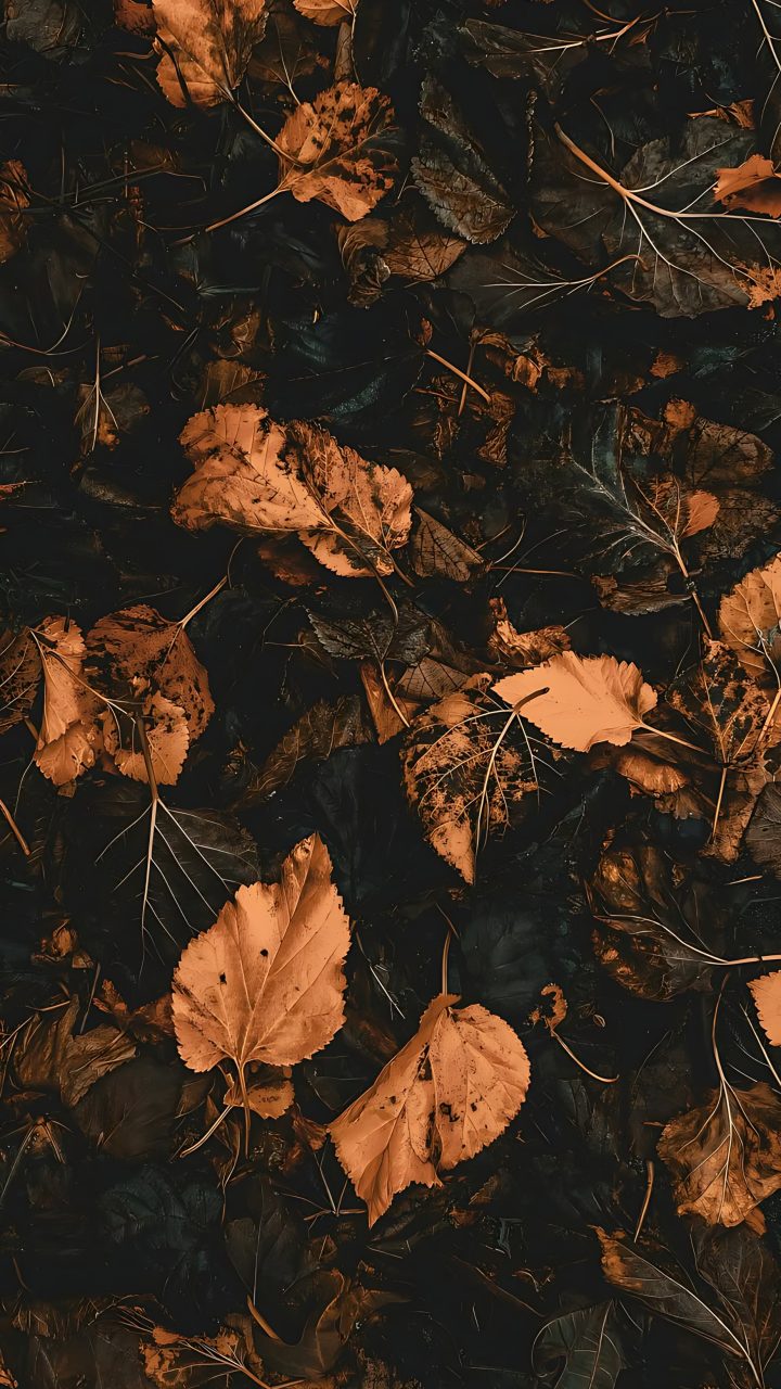 Copper Autumn Leaves wallpaper for iPhone and Android