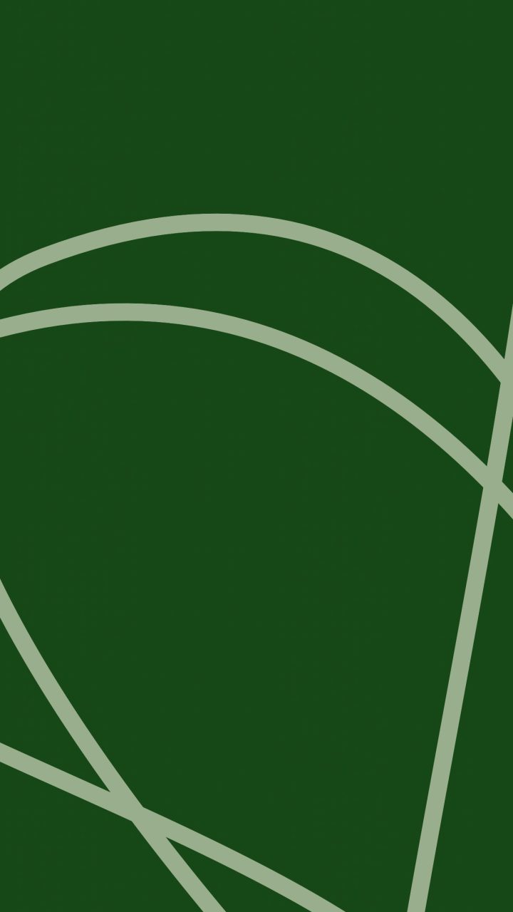 Forest Line Minimal wallpaper for iPhone and Android