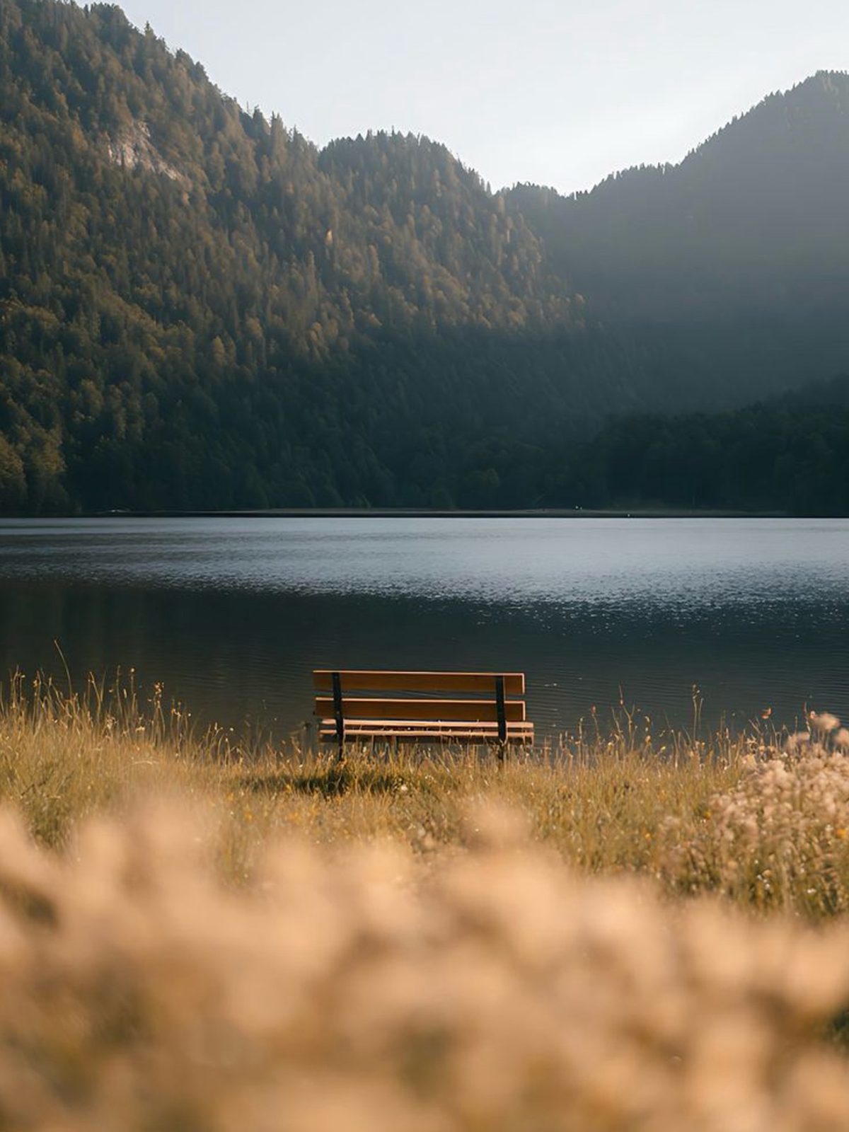 Golden Lake Bench wallpaper for iPhone and Android