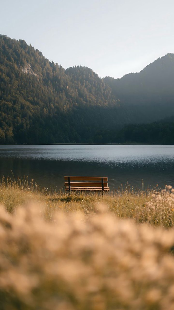 Golden Lake Bench wallpaper for iPhone and Android