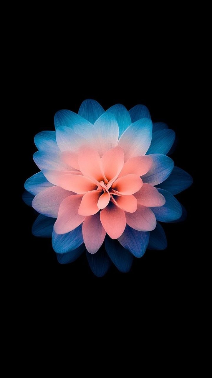 Neon Lotus Bloom