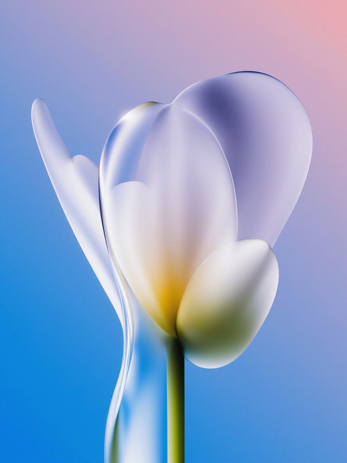 Blue Glass Tulip