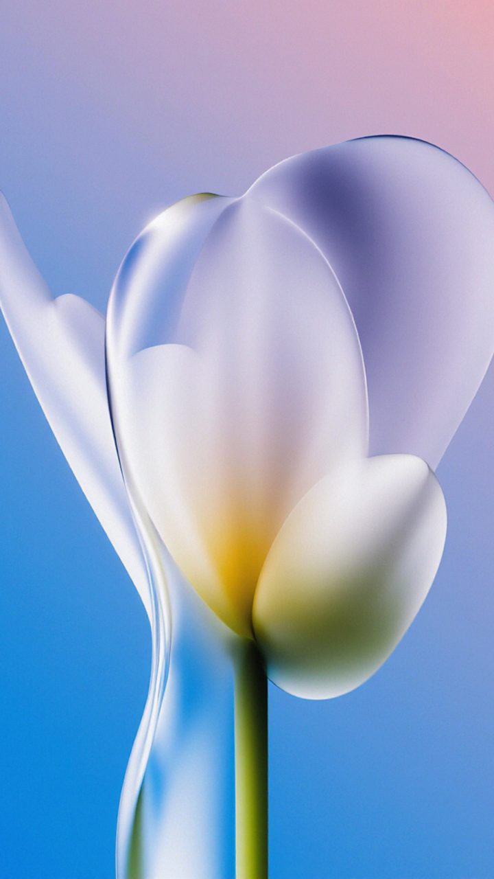 Blue Glass Tulip