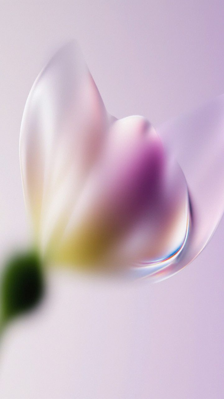 Soft Glass Tulip